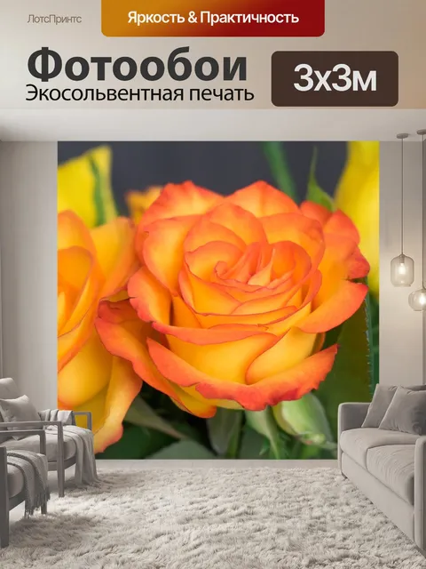 Фотообои Роза