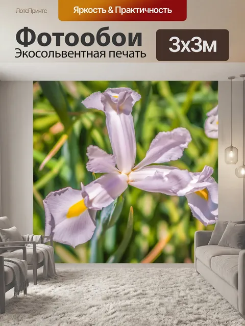 Фотообои Белый ирис в саду