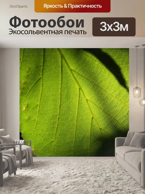 Фотообои Зеленый