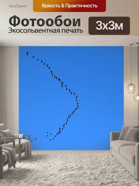 Фотообои Птицы