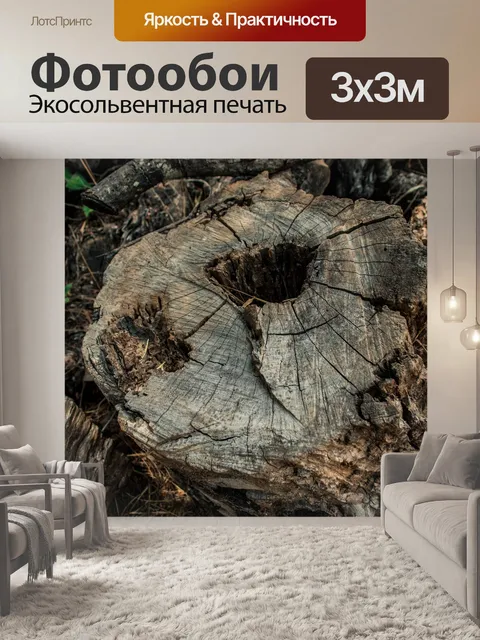 Фотообои Лес