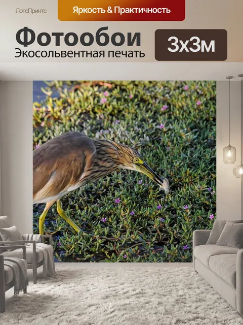 Фотообои Птица