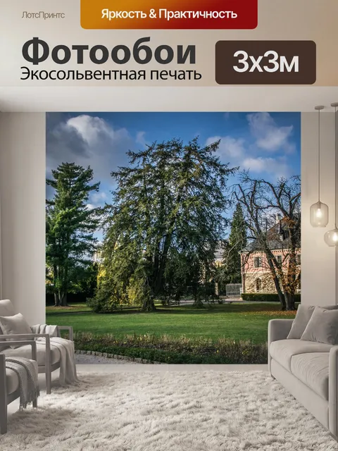 Фотообои Деревья