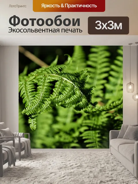 Фотообои Папоротник