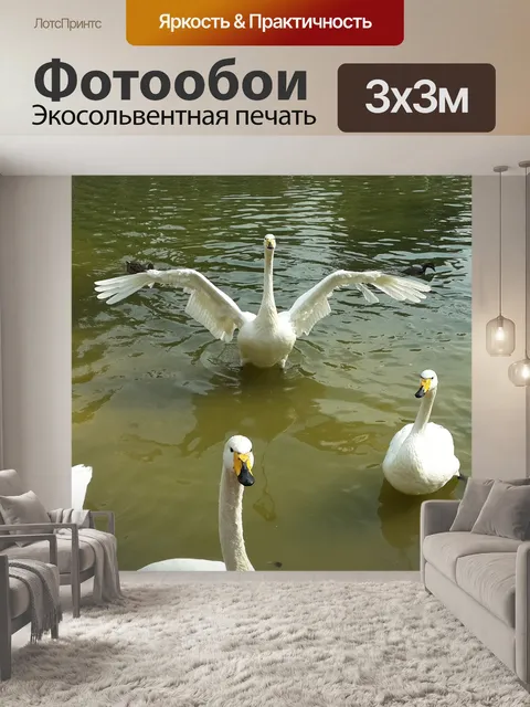 Фотообои Лебеди
