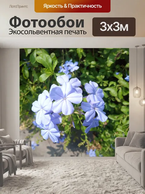 Фотообои Темноватый туман