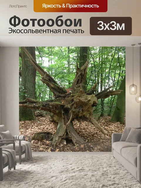 Фотообои Корень
