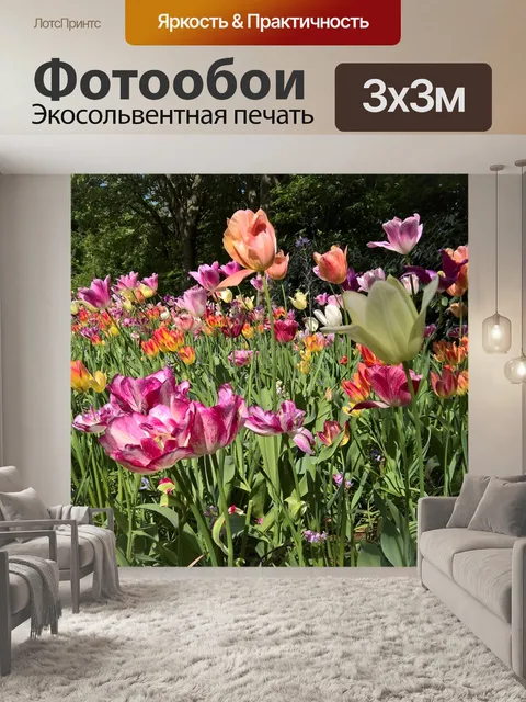 Фотообои Тюльпаны
