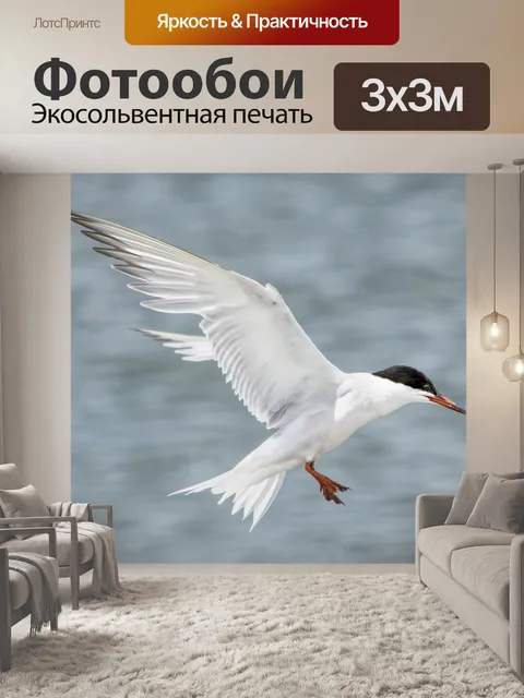 Фотообои Птица