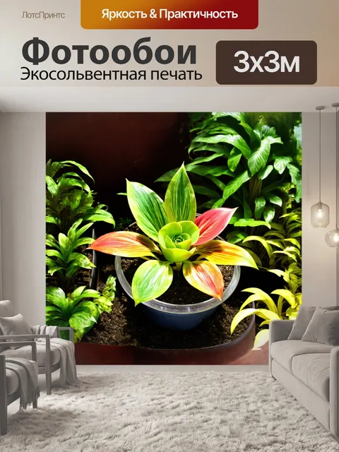 Фотообои сочное растение маранта с красочными листьями помещено в стеклянный горшок и находится среди прочих…