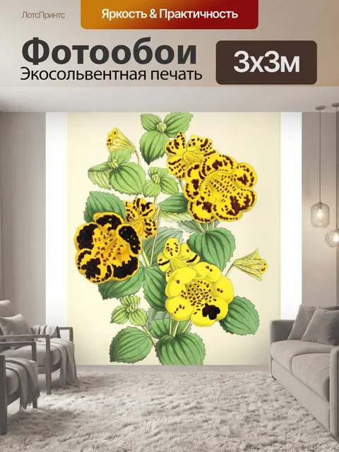 Фотообои Искусство иллюстрации садовых цветов