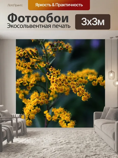 Фотообои Желтые цветы