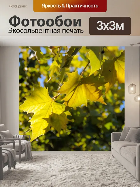 Фотообои Золотой свет с листьями кленового дерева