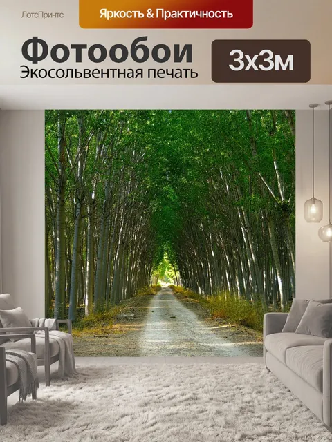 Фотообои Тополей