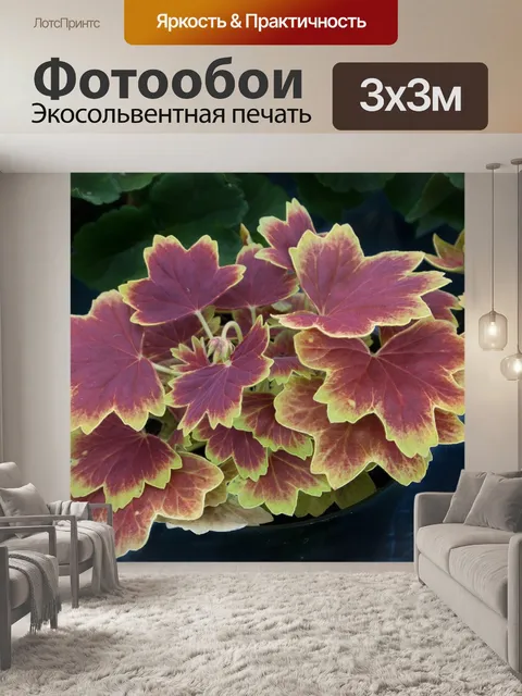 Фотообои Листья