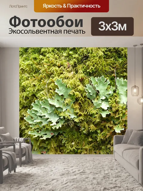 Фотообои Тропический лес