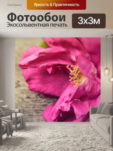 Фотообои Розовый фон