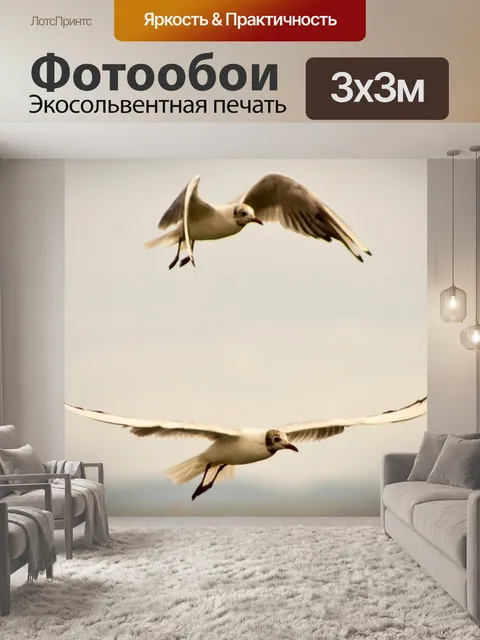 Фотообои Бесплатно