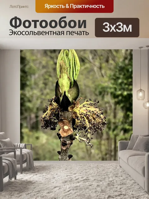 Фотообои Пепел