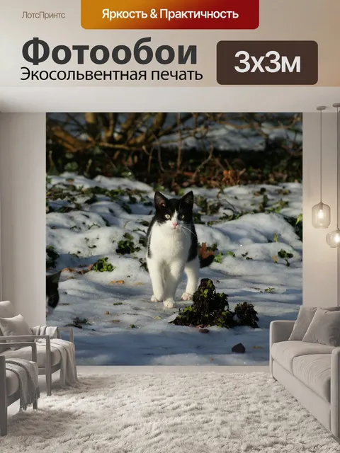 Фотообои Кошки