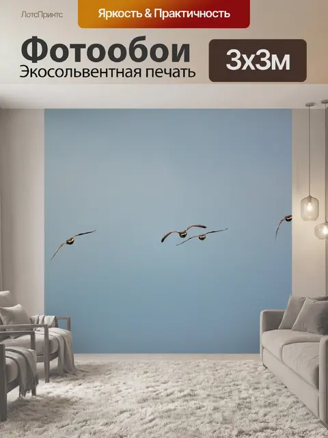 Фотообои Гуси