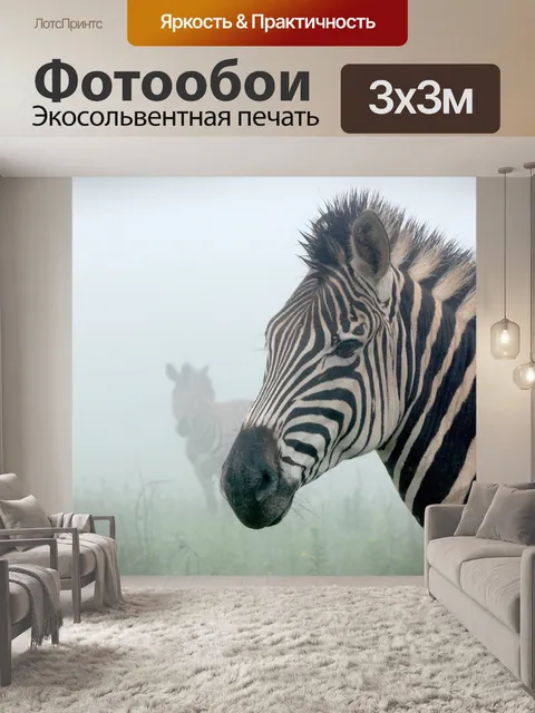 Фотообои Зебры в тумане