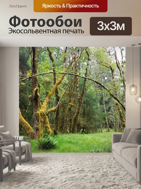 Фотообои Тропический лес