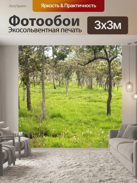 Фотообои Сиам тюльпан цветок Па Хин Нгам