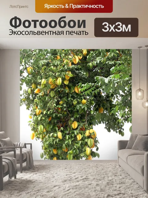 Фотообои Звезда фрукты