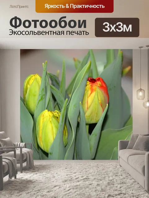 Фотообои Весна