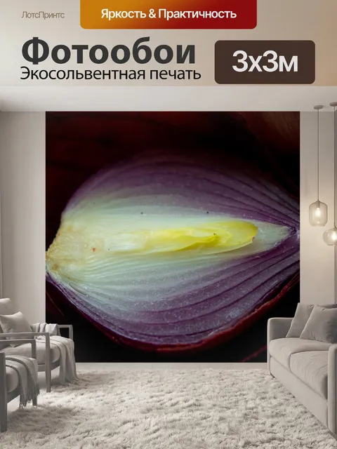 Фотообои Лук