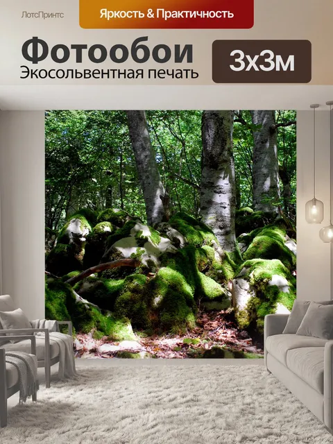 Фотообои Лес