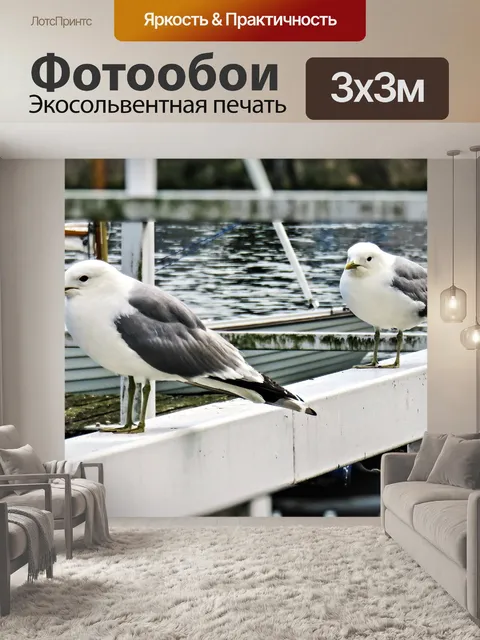 Фотообои Чайки