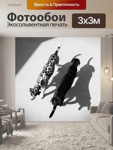 Фотообои Две собаки в контрасте