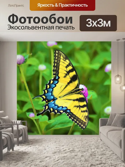 Фотообои Парусники бабочки