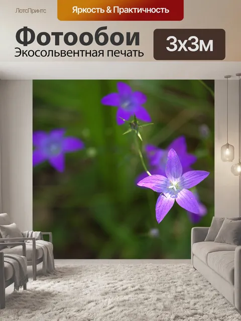 Фотообои Цветы