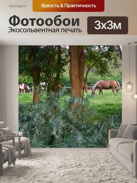 Фотообои Лошади