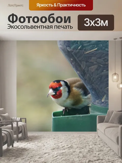 Фотообои Природа