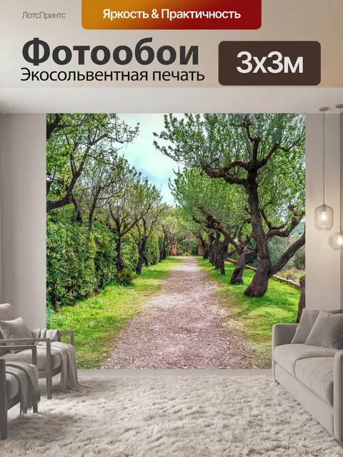 Фотообои Роща