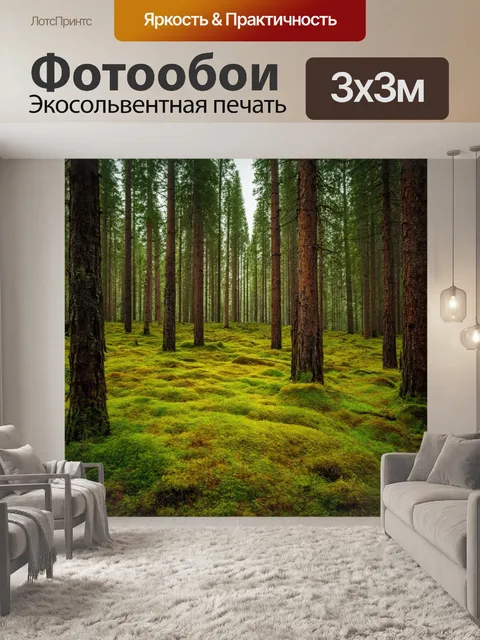 Фотообои сосновый лес с открывающимися полянками, мхи