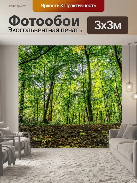 Фотообои Лес