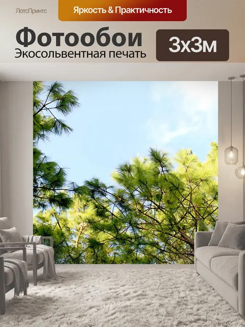 Фотообои Природа соснового леса в Фу Руа
