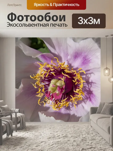 Фотообои Пион