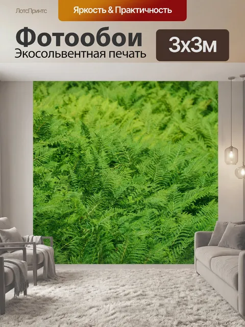 Фотообои зеленый папоротник