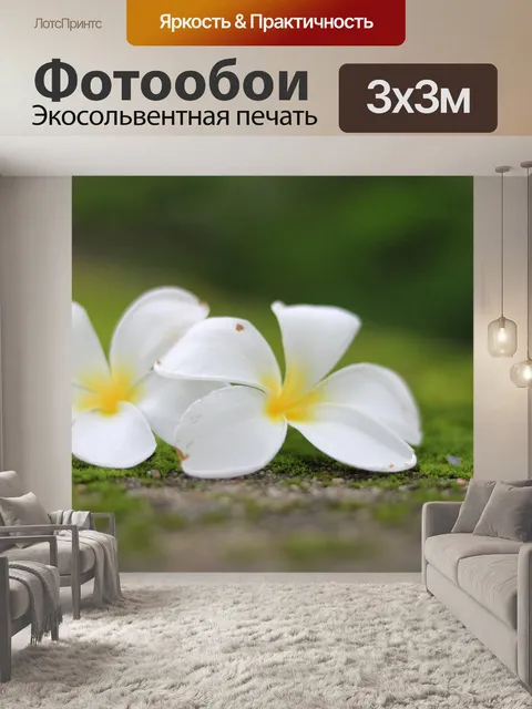 Фотообои Цветок