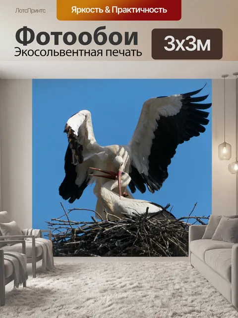 Фотообои Аист