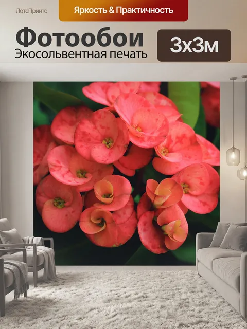 Фотообои Цветы