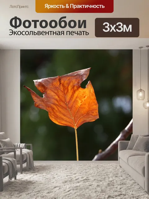 Фотообои Осенние листья