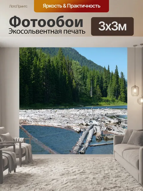 Фотообои Стволы деревьев