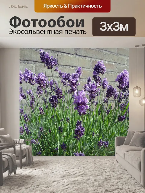 Фотообои Лаванда